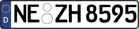 NE-ZH8595