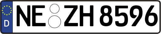 NE-ZH8596