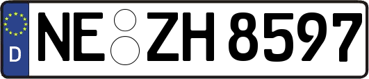 NE-ZH8597