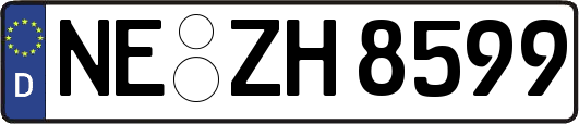 NE-ZH8599