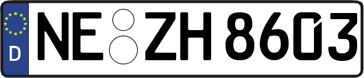 NE-ZH8603