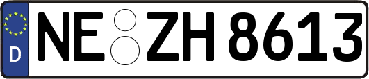 NE-ZH8613