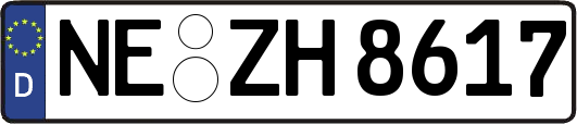 NE-ZH8617