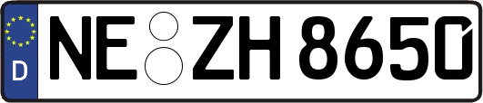 NE-ZH8650
