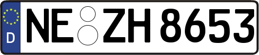 NE-ZH8653