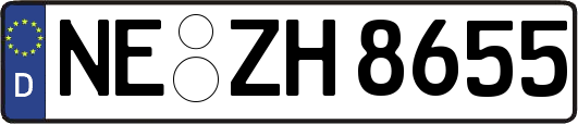 NE-ZH8655