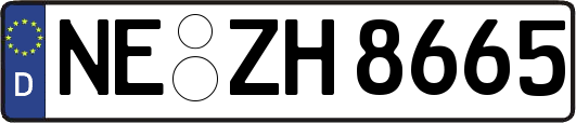 NE-ZH8665