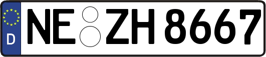 NE-ZH8667