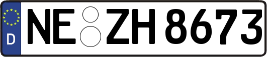 NE-ZH8673