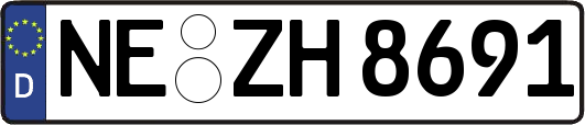 NE-ZH8691