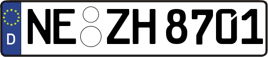 NE-ZH8701