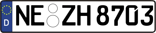NE-ZH8703