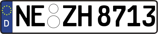 NE-ZH8713