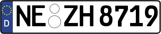 NE-ZH8719