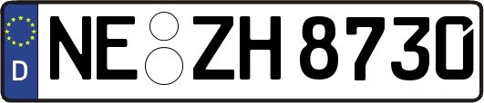 NE-ZH8730