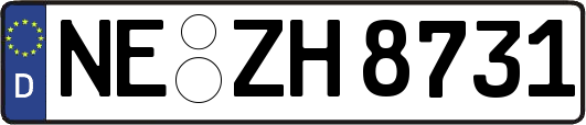 NE-ZH8731