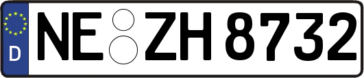 NE-ZH8732