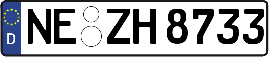NE-ZH8733