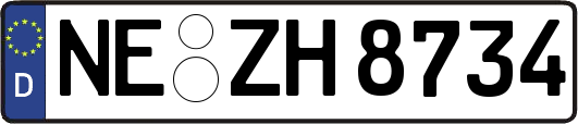 NE-ZH8734