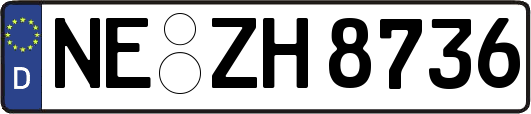 NE-ZH8736