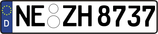 NE-ZH8737