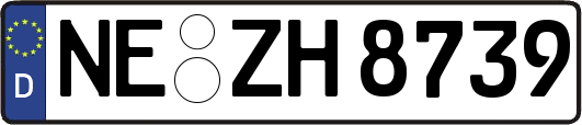NE-ZH8739