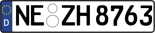 NE-ZH8763