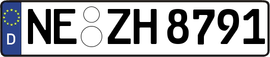 NE-ZH8791