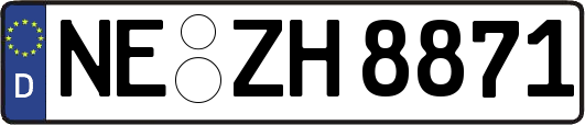 NE-ZH8871