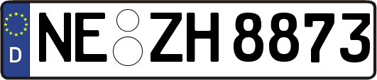 NE-ZH8873