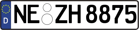 NE-ZH8875