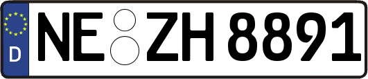 NE-ZH8891