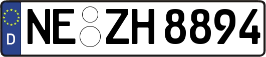 NE-ZH8894