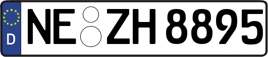 NE-ZH8895