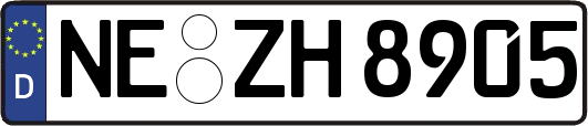 NE-ZH8905