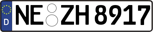 NE-ZH8917