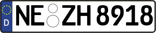 NE-ZH8918