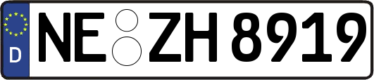 NE-ZH8919