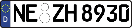 NE-ZH8930