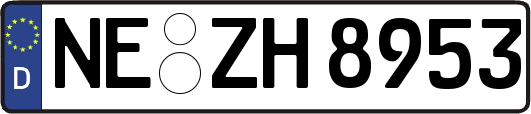 NE-ZH8953