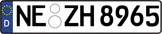 NE-ZH8965