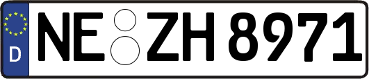 NE-ZH8971