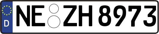 NE-ZH8973