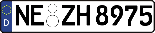 NE-ZH8975