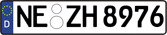 NE-ZH8976