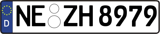 NE-ZH8979