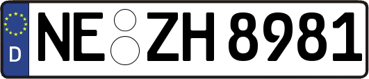 NE-ZH8981