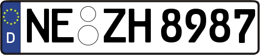 NE-ZH8987