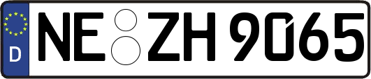 NE-ZH9065