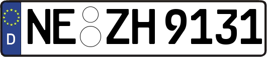 NE-ZH9131